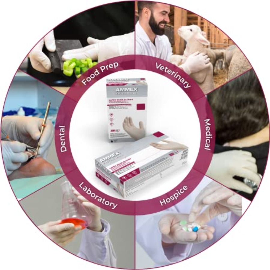 AMMEX White Latex Disposable E - Latex Disposable Glove reseña y precio